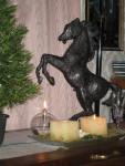 Steigerend paard